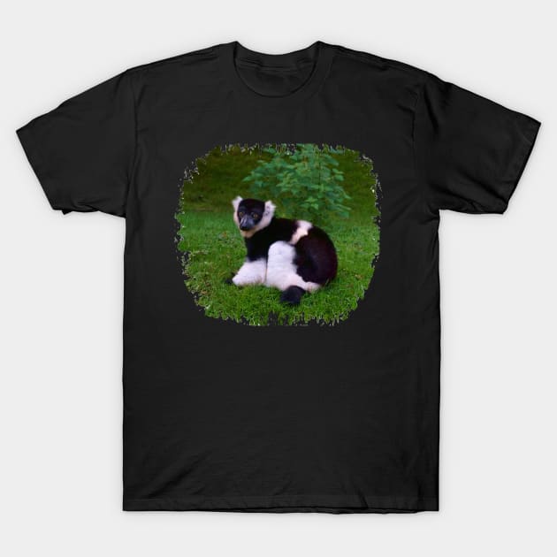 Black & White Ruffled Lemur T-Shirt by Nicole Gath Photography